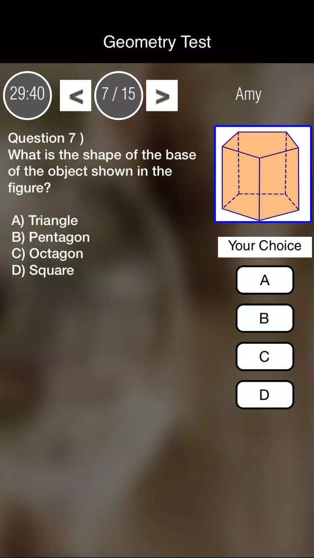 Screenshot di EZ Geometry Grade 7 & 8 Lite