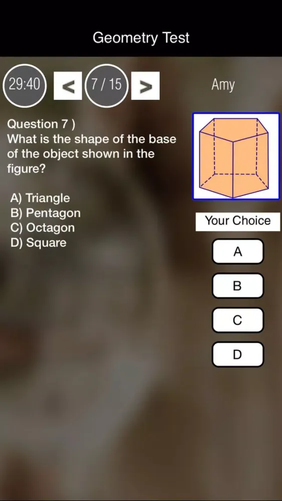 EZ Geometry Grade 7 & 8 Lite スクリーンショット