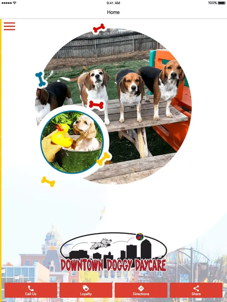 Tangkapan layar Downtown Doggy Daycare iPad 