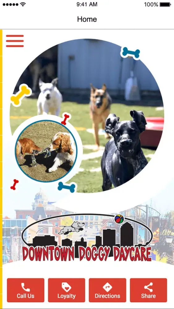 Tangkapan layar Downtown Doggy Daycare