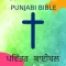 Punjabi Bible - Easy Reader