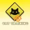 How You Can Train your Cat Free