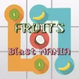 Fruits Blast Mania - A ninja splash free game