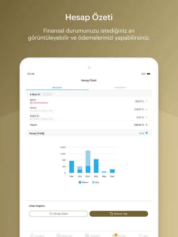 Aktif Yaşam Hizmet Yönetimi iPad 應用截圖