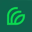 Index Service Index Service