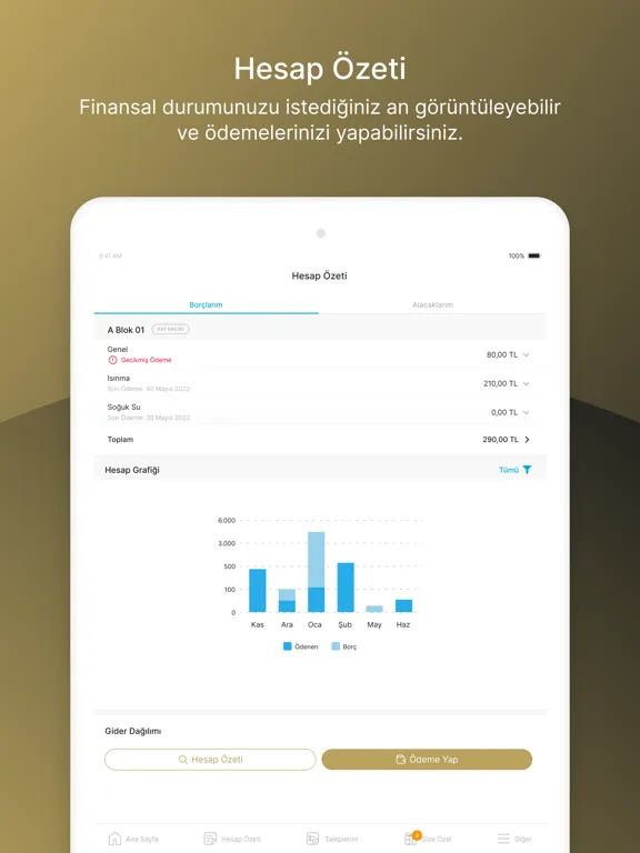 Zey  Yönetim iPad  スクリーンショット