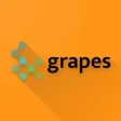 grapes grapes