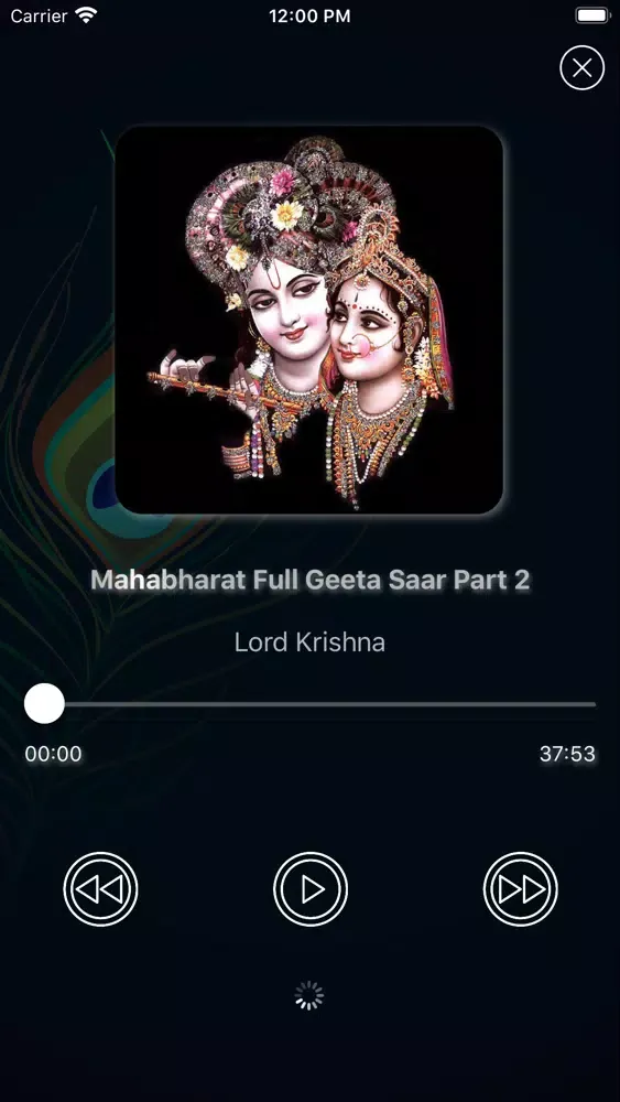ภาพหน้าจอของ Bhagavad Gita: All Language