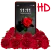 Shine Red Rose APUS Live Wallp