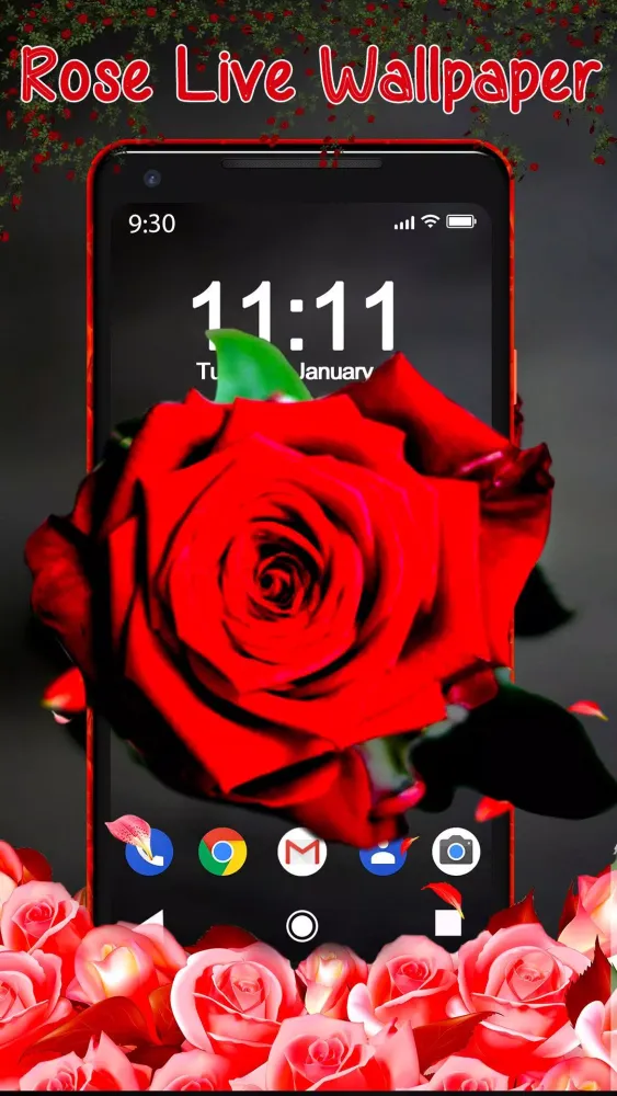 Zrzuty ekranu Shine Red Rose APUS Live Wallp