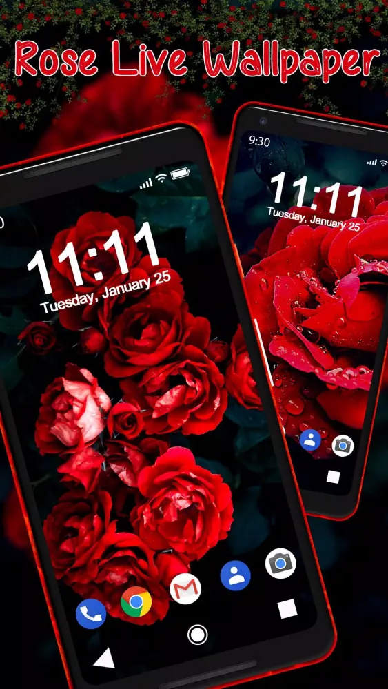 Zrzuty ekranu Shine Red Rose APUS Live Wallp