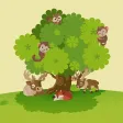 Oakie's Adventure