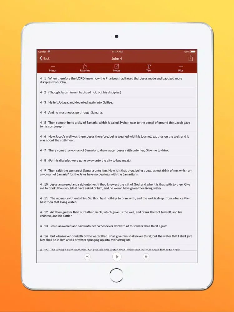 Capturas de pantalla de Holy Bible Audio - King James iPad 