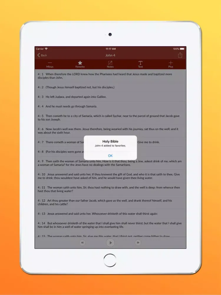 Capturas de pantalla de Holy Bible Audio - King James iPad 