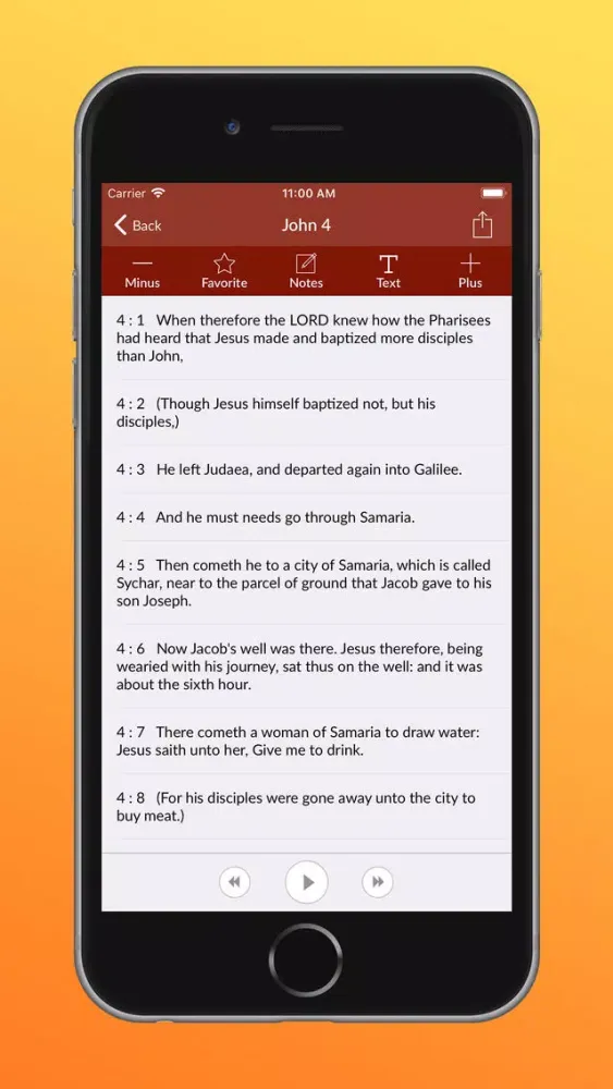 Capturas de pantalla de Holy Bible Audio - King James