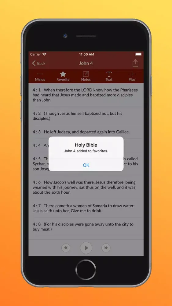 Capturas de pantalla de Holy Bible Audio - King James