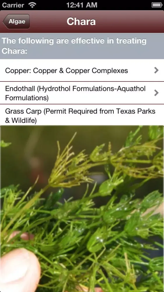 AquaCide Screenshots