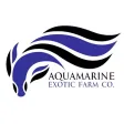 AquaMarine Exotic