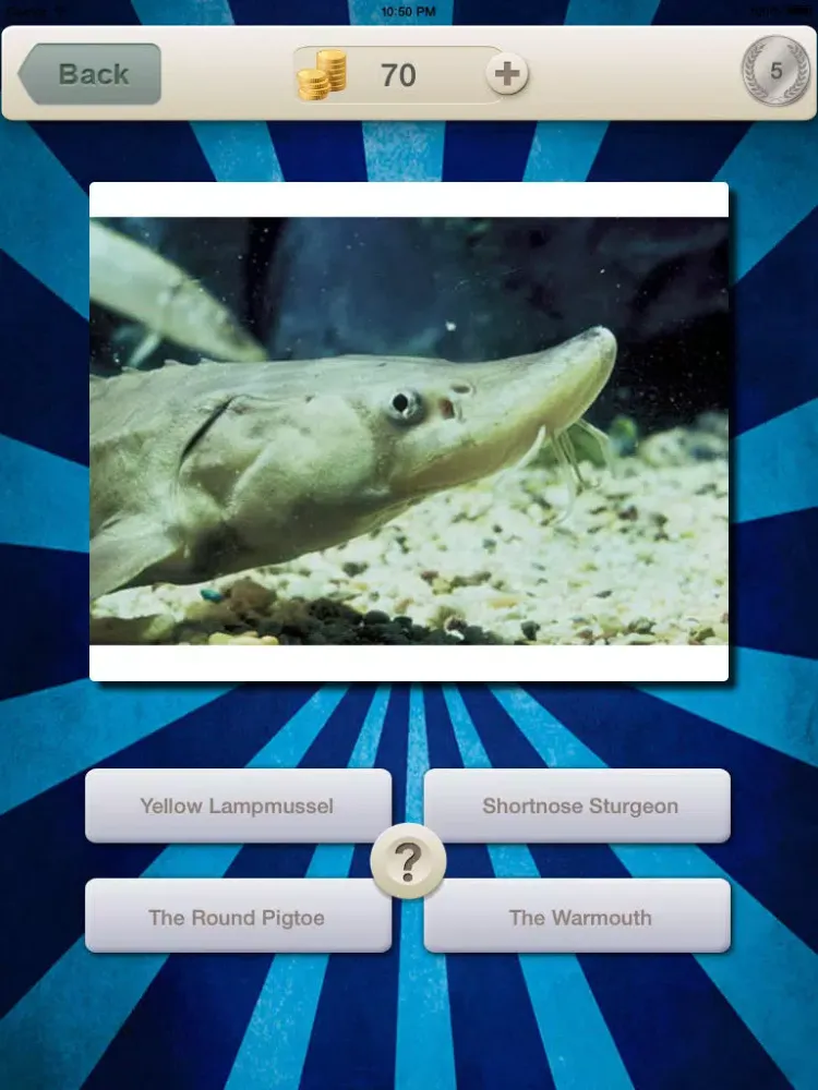 Guess for Aquatic Species at Risk Quiz Game iPad  سکرین شاٹس