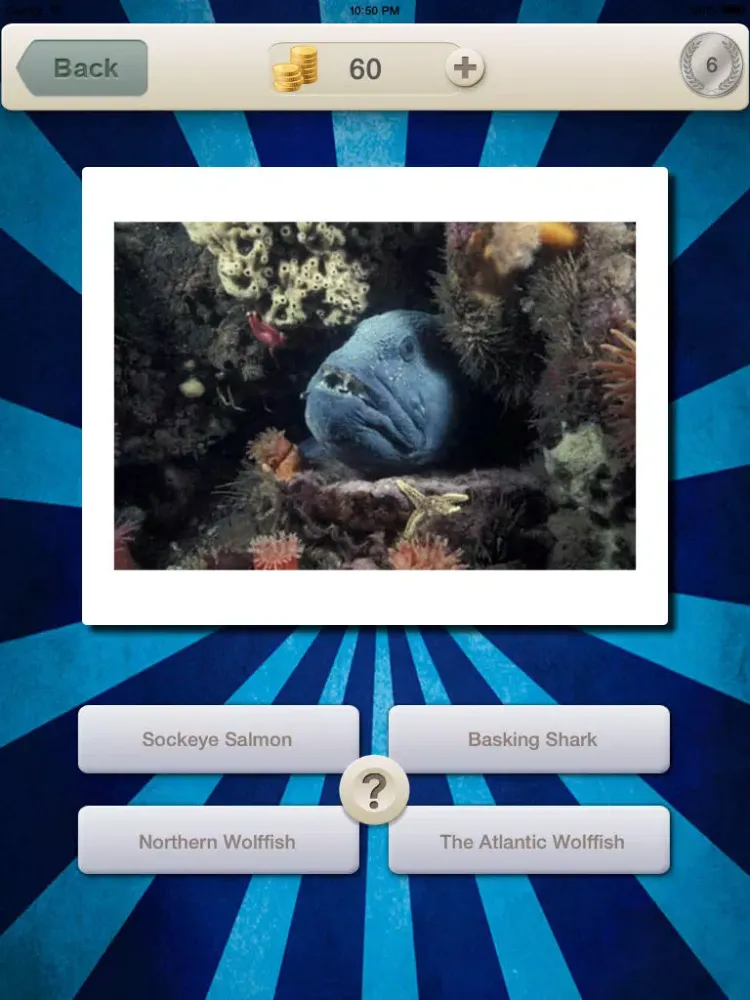 Guess for Aquatic Species at Risk Quiz Game iPad  سکرین شاٹس