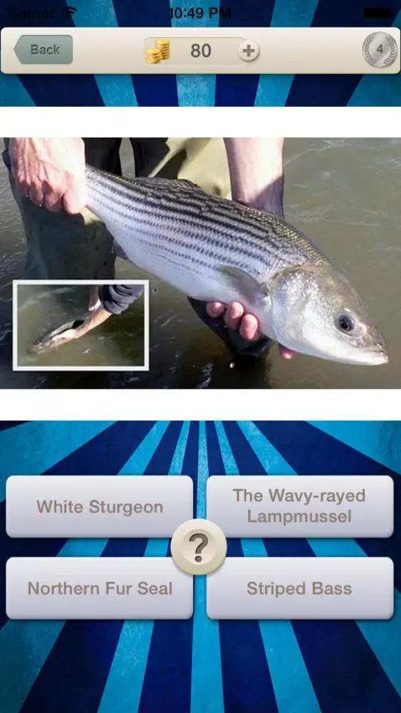 Guess for Aquatic Species at Risk Quiz Game سکرین شاٹس