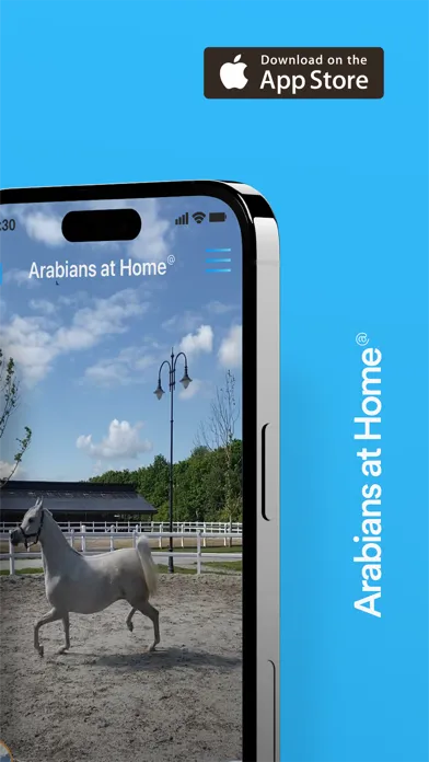 Arabians at Home 스크린샷