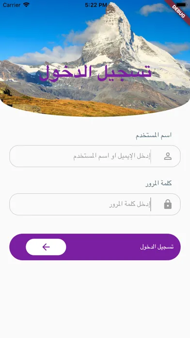ภาพหน้าจอของ DDI Arabtesting