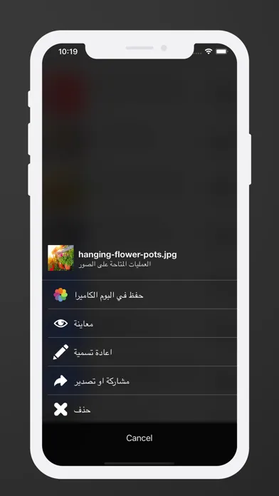 Ảnh chụp màn hình của فيديو بلس - فيديوهات صور اغاني