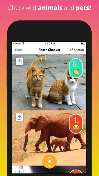 ภาพหน้าจอของ Intelligram - Photo Check