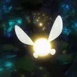 Firefly Adventure Firefly Adventure