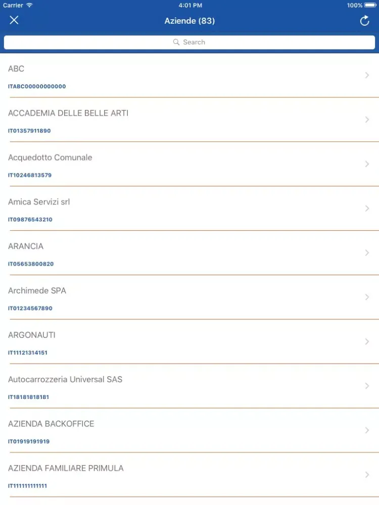 Zrzuty ekranu Fatture In Tasca iPad 