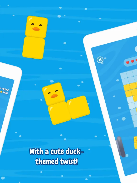 ภาพหน้าจอของ Ducks in a Row iPad 