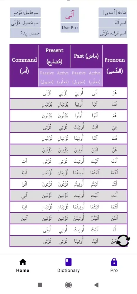Скриншоты Arabic Verb Conjugator