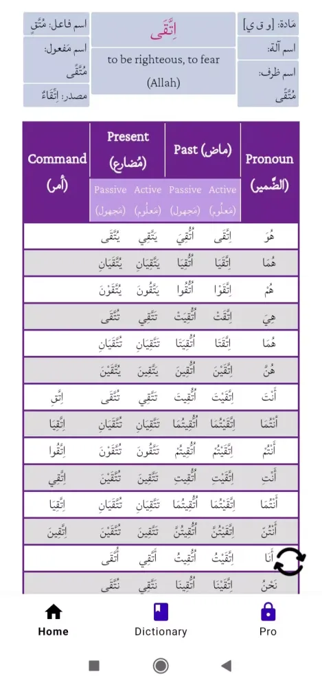 Скриншоты Arabic Verb Conjugator