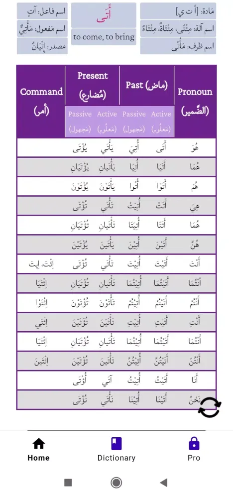 Скриншоты Arabic Verb Conjugator