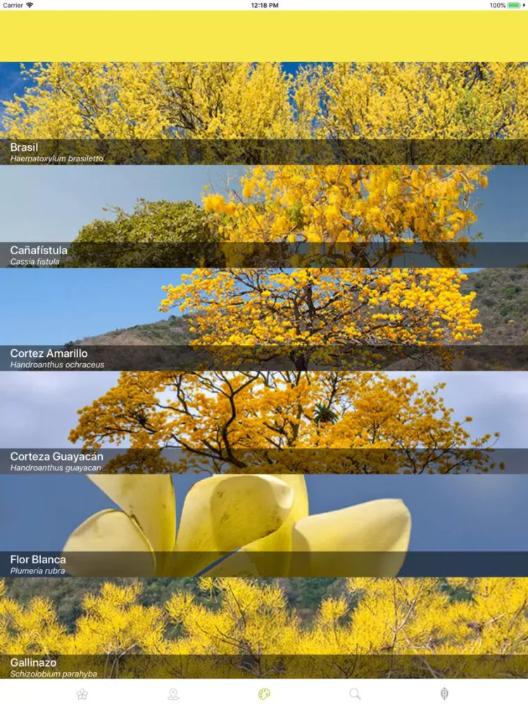 Capturas de pantalla de Ojeadores iPad 