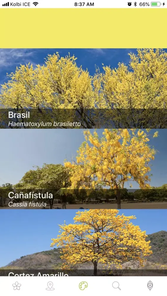 Capturas de pantalla de Ojeadores