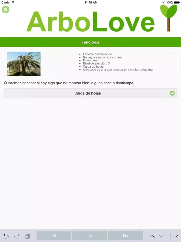 صور ArboLove iPad 