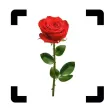 Flower identifier - Photo ID