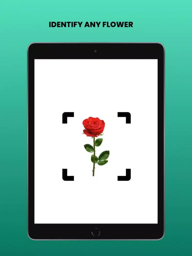 Capturas de pantalla de Flower identifier - Photo ID iPad 