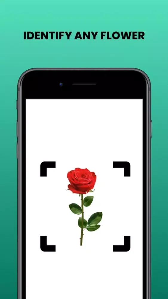 Capturas de pantalla de Flower identifier - Photo ID