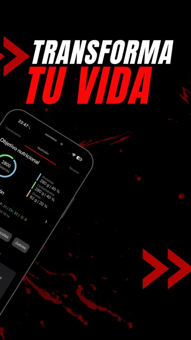 Capturas de tela do QV2TRAINING
