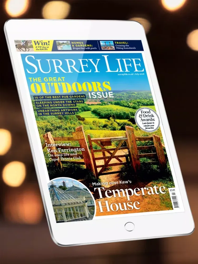 Surrey Life Magazine iPad  Ekran Görüntüleri