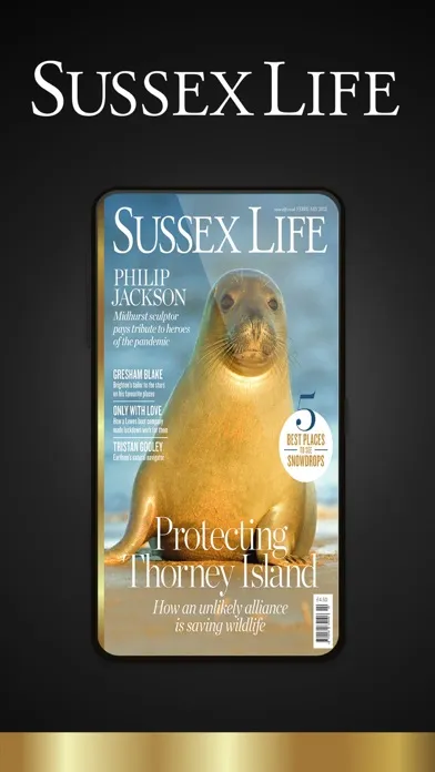 Tangkapan layar Sussex Life Magazine