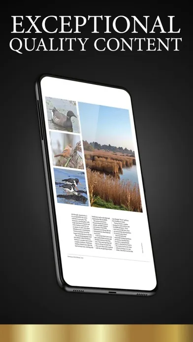 Tangkapan layar Sussex Life Magazine