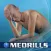 Medrills: Behavioral and Psychiatric Emergencies