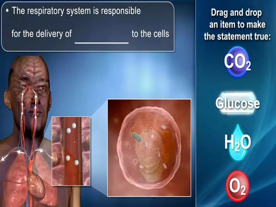 Captures d'écran de Medrills: Pathophysiology iPad 
