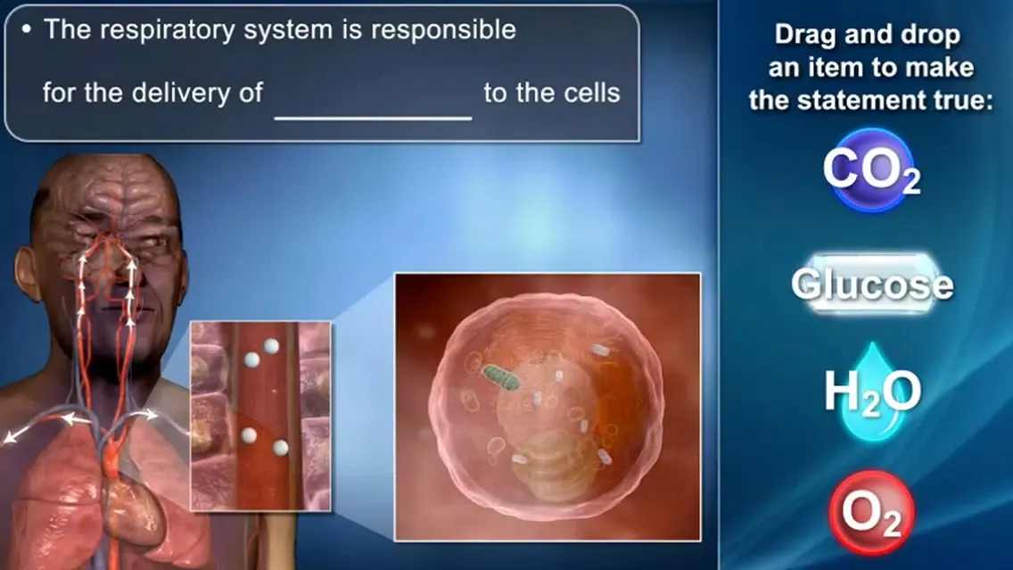 Captures d'écran de Medrills: Pathophysiology