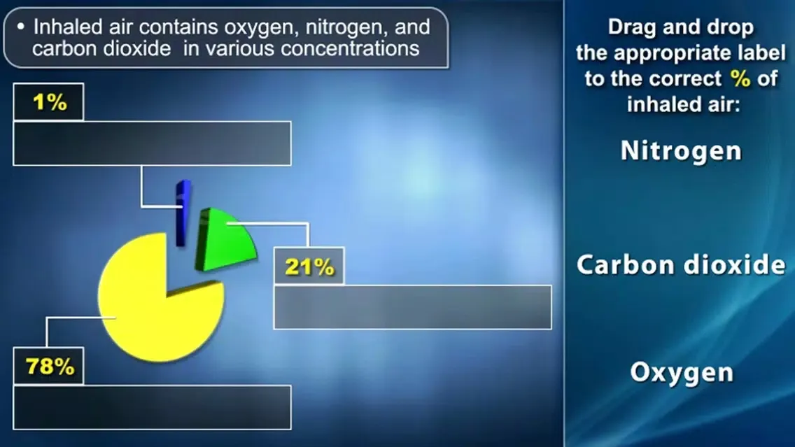 Captures d'écran de Medrills: Pathophysiology