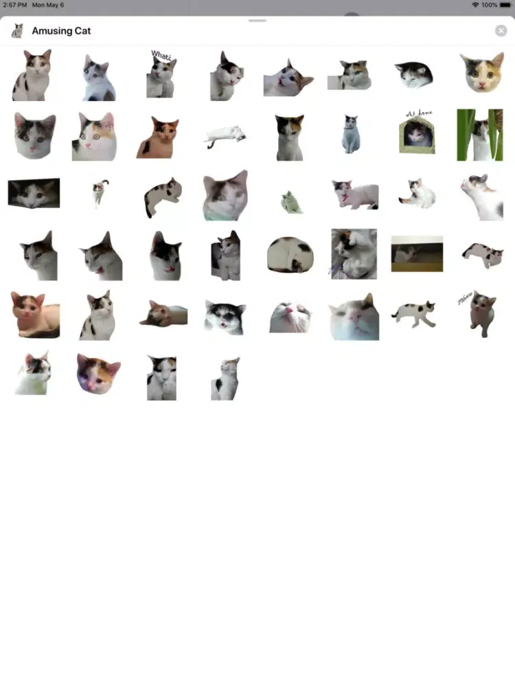 تصاویر Amusing Cat Sticker Pack iPad 